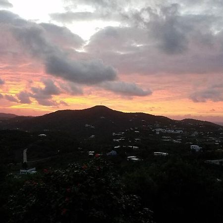 فيلا Caribbean Splendor With Million Dollar Views كريستيانستيد المظهر الخارجي الصورة