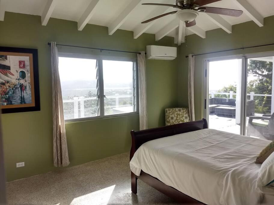 فيلا Caribbean Splendor With Million Dollar Views كريستيانستيد المظهر الخارجي الصورة